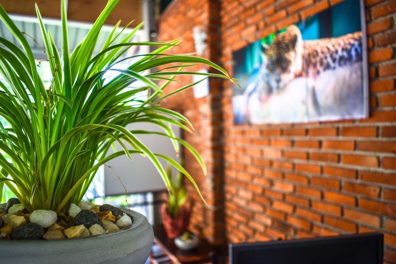 Myr-O Homestay Kombichankulama ภายนอก รูปภาพ